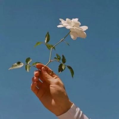机甲少女手机版游戏(暂未上线)v1.2.0 安卓版